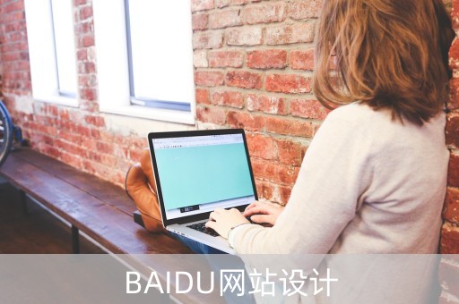 BAIDU网站设计（百度网站设计特点）